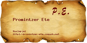 Promintzer Ete névjegykártya
